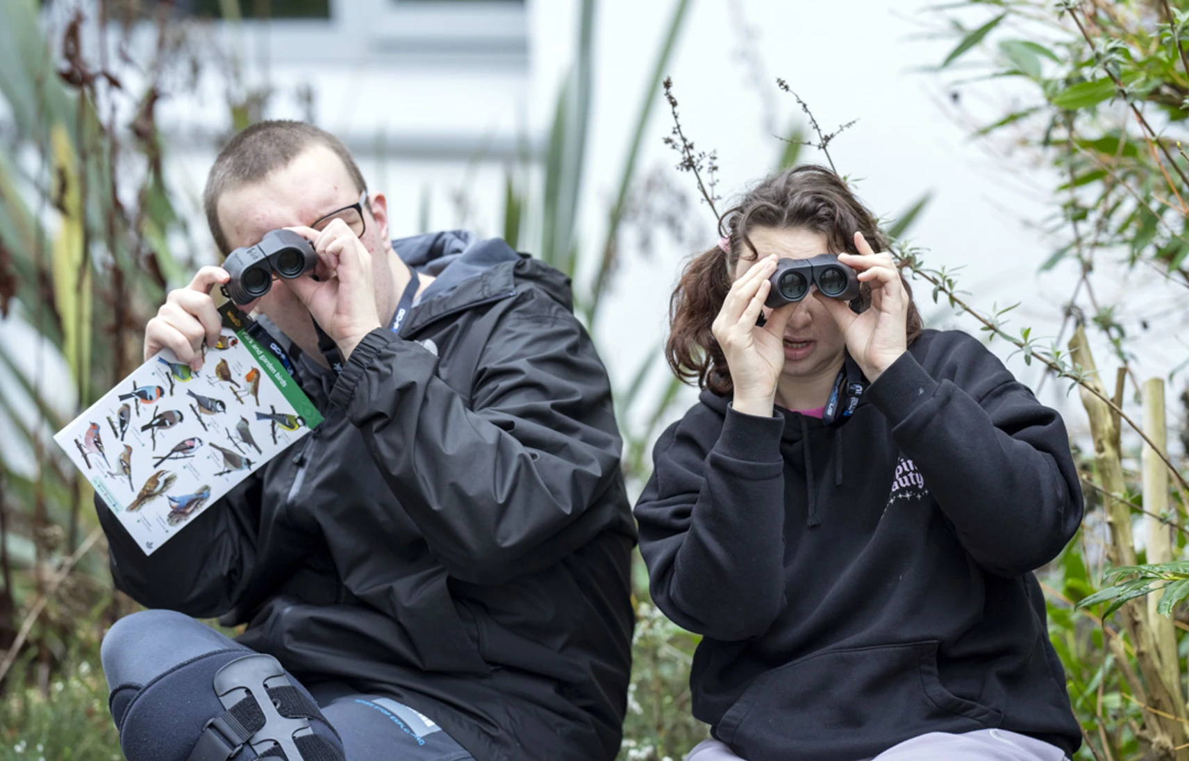 Two people sitting outdoors, looking through binoculars, holding a bird identification chart and searching for birds. Two people sitting outdoors, looking through binoculars, holding a bird identification chart and searching for birds.